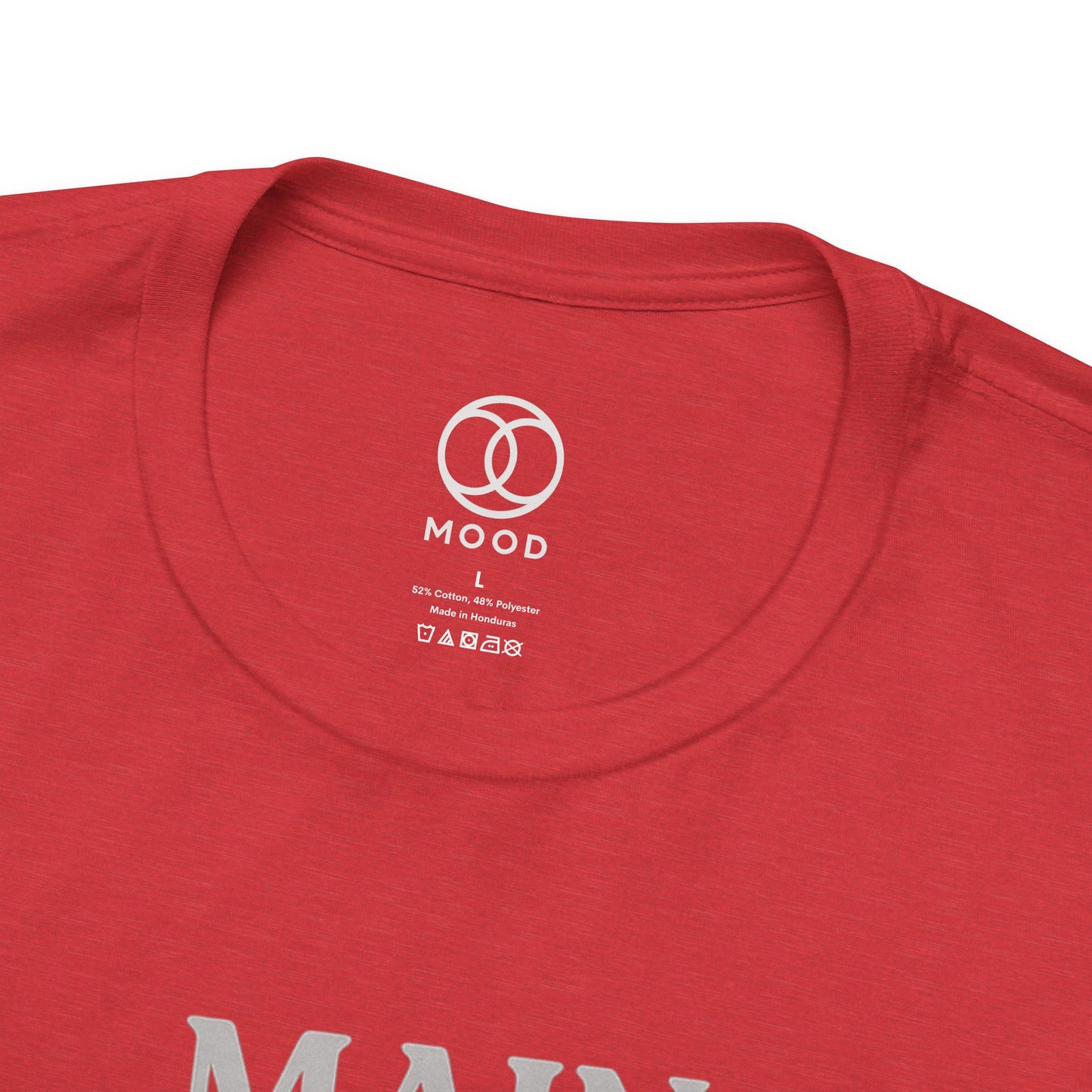 Main Character, Minor Responsibilities