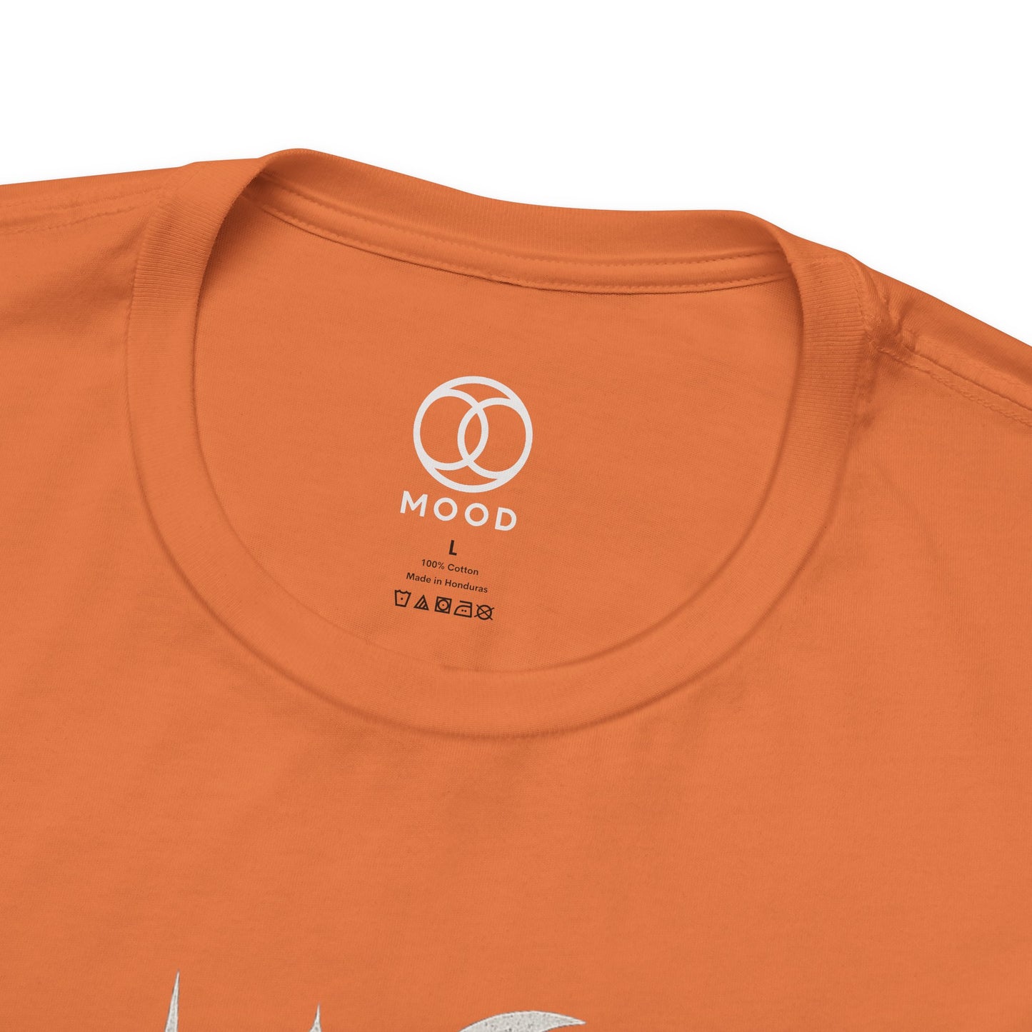 The Universe Said Main Character