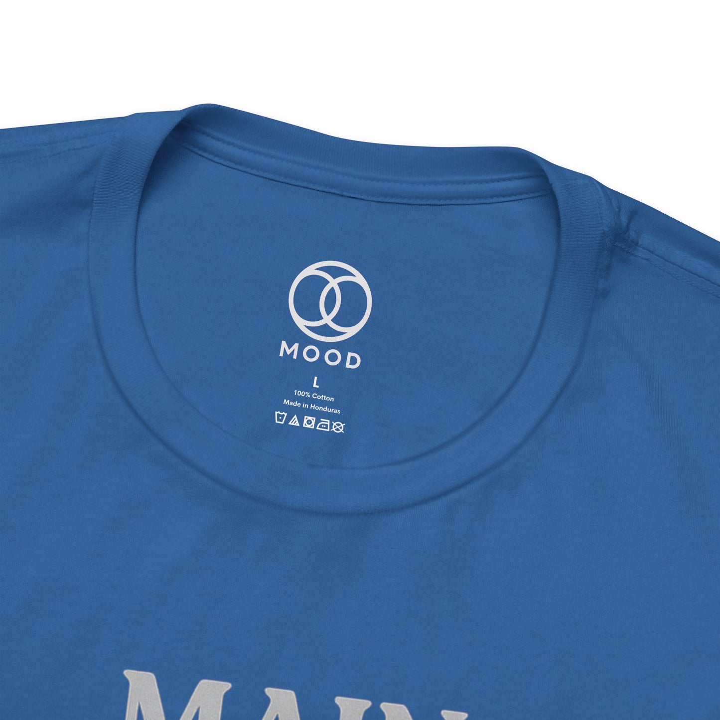 Main Character, Minor Responsibilities