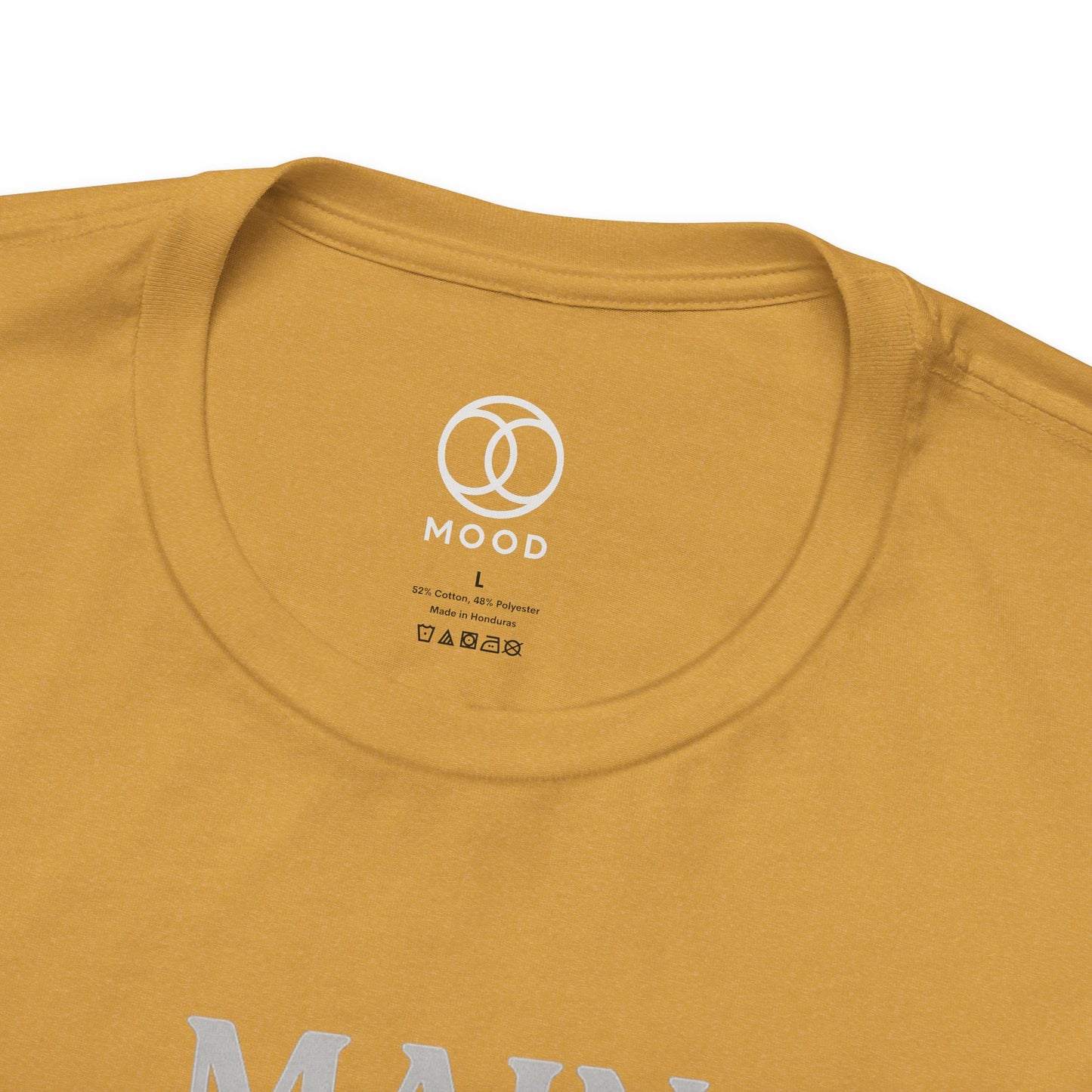 Main Character, Minor Responsibilities