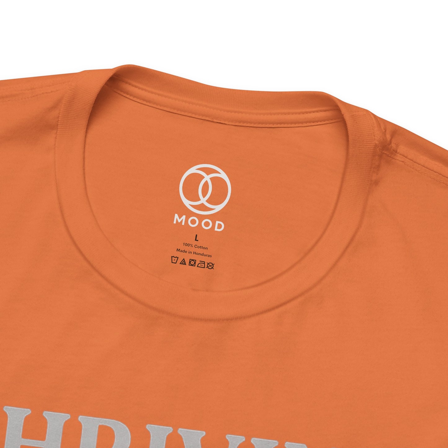 Thriving on Vibes & IOUs