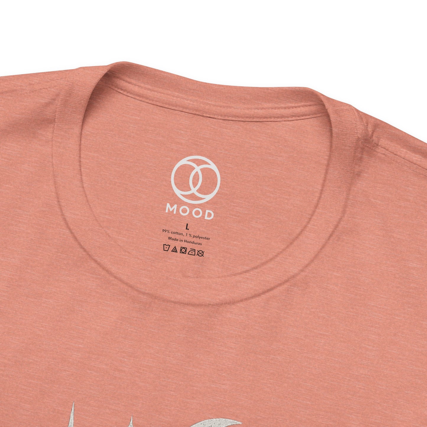 The Universe Said Main Character