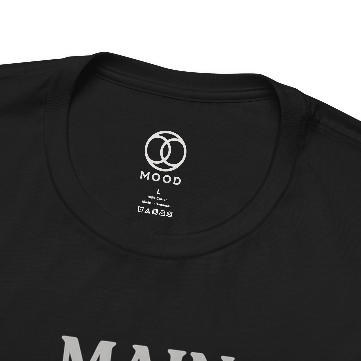 Main Character, Minor Responsibilities