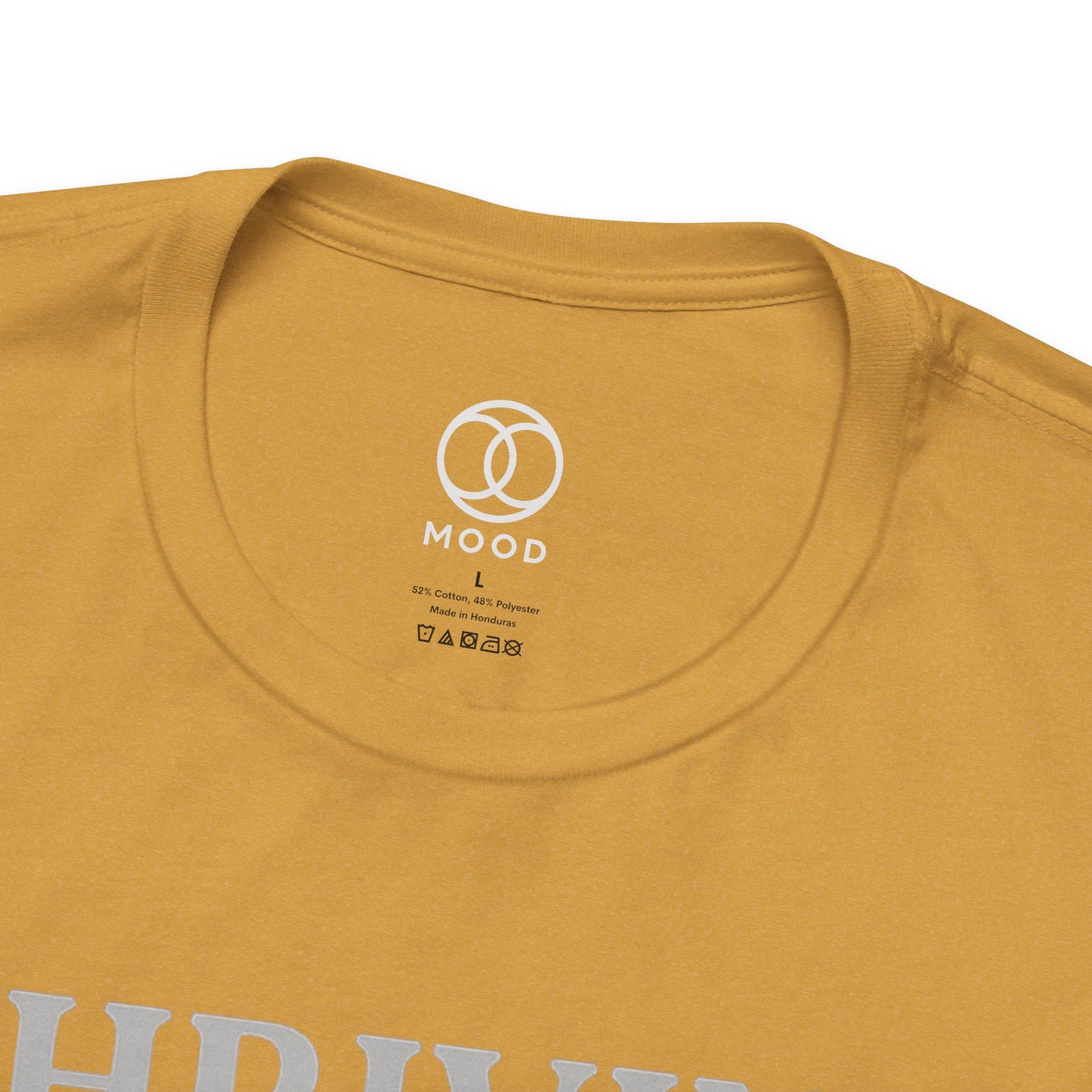 Thriving on Vibes & IOUs