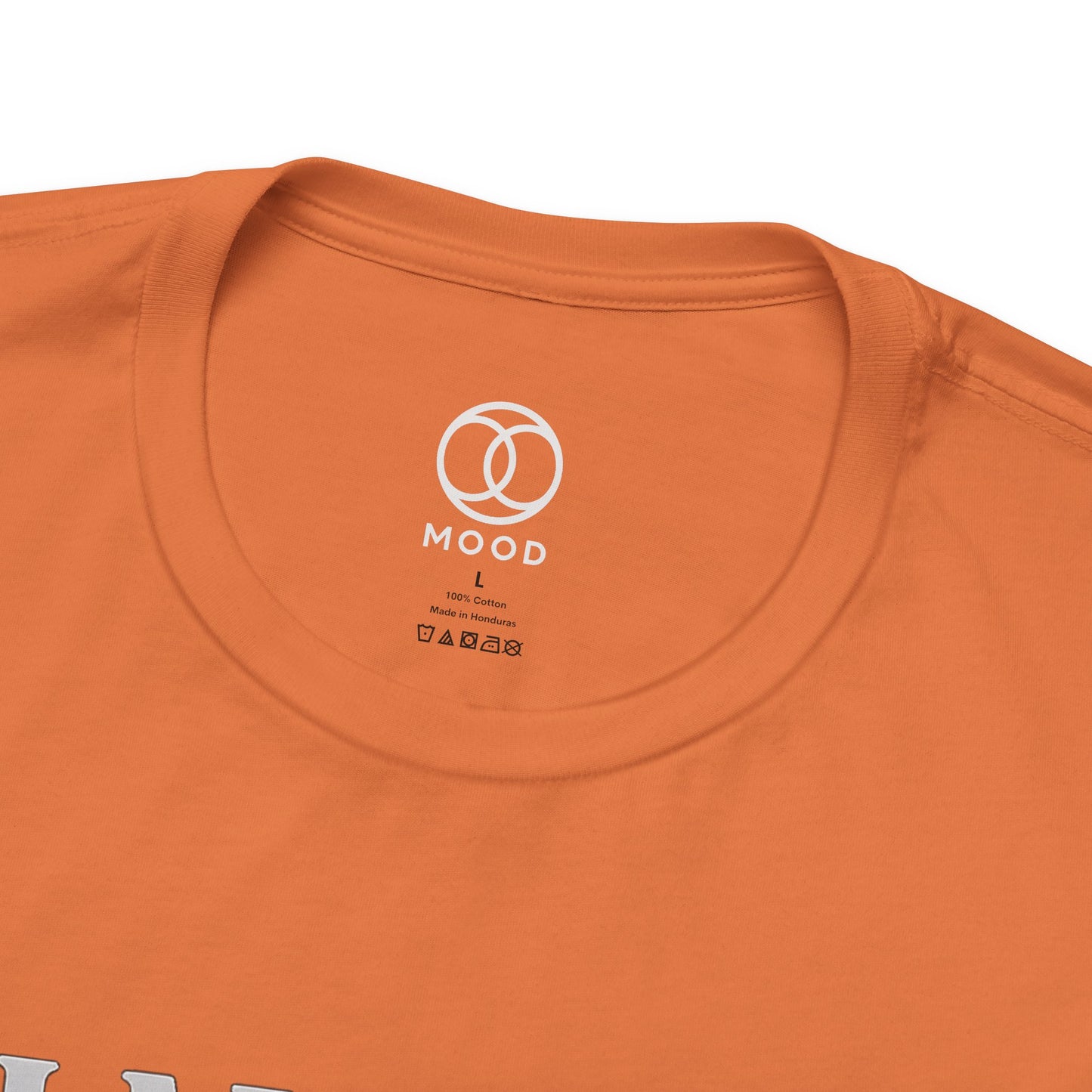 Haunted but Functional