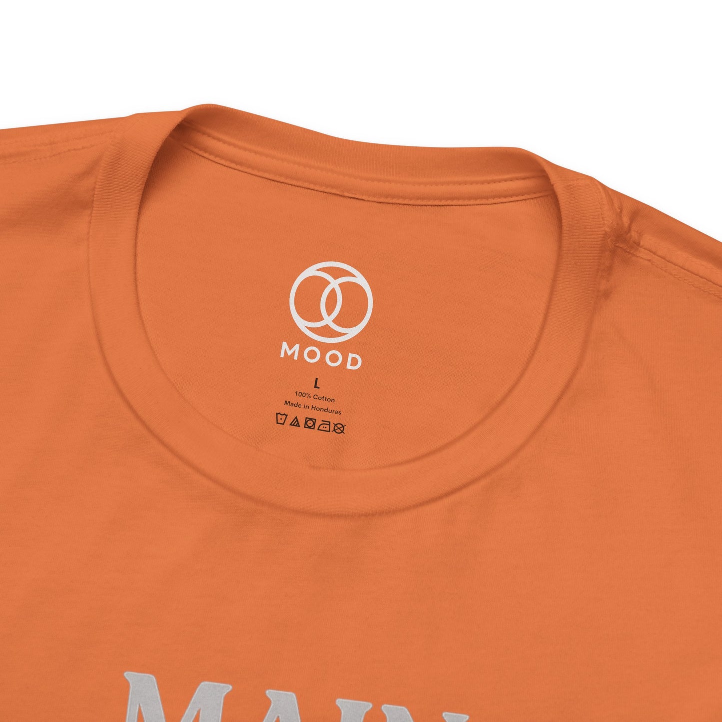 Main Character, Minor Responsibilities